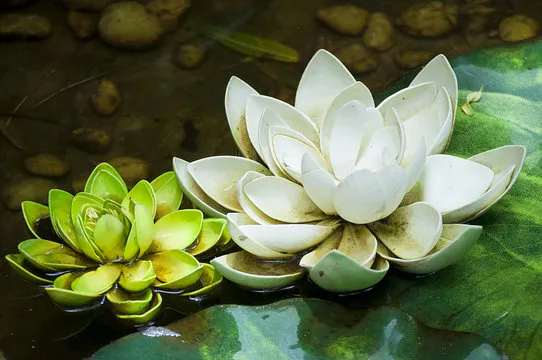 基础号码走势图